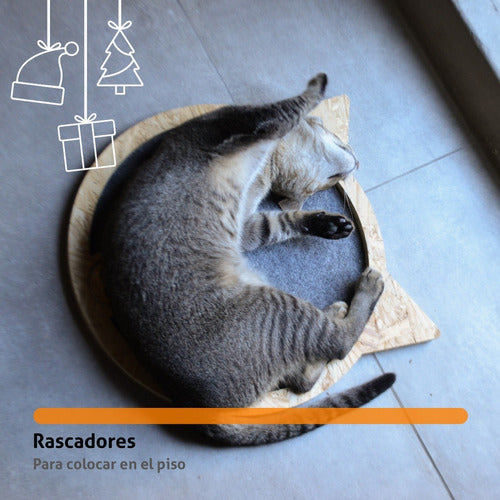 Cama Rascador Para Gato Alfombra Para Piso Osb Afrodito 1