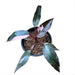 Philodendron Pink Princess 0