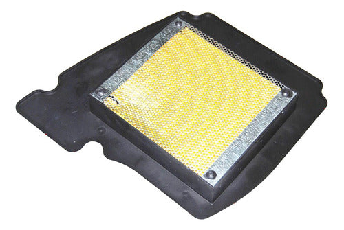 WStandard Air Filter FZ16 1