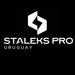 Staleks Pro Nail Drill Bit Kit 4 1