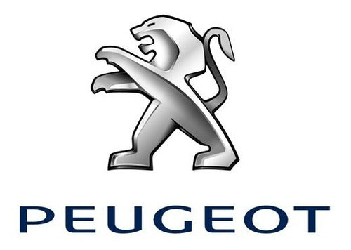 Front Bumper Spoiler Set for Peugeot 207 1