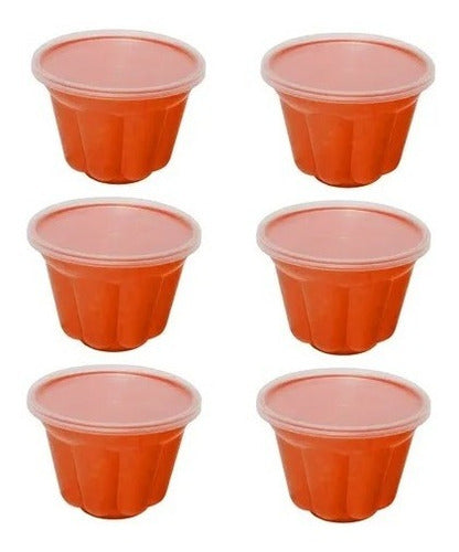 Plasútil Set of 6 Gelatin Molds BPA Free 0