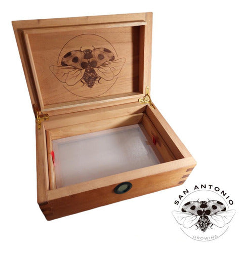 San Antonio Growing Caja De Curado Humidor Cedro XL Hashera 2