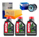 Ryd Kit Service BMW F 800 GS 08-18 Mahle + Motul Oil 0