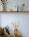 Forlaoers 19 40 Pieces Small Boho White Pampas Grass Feathers 6