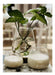 Glass Vase Candle Holder Decoration 3