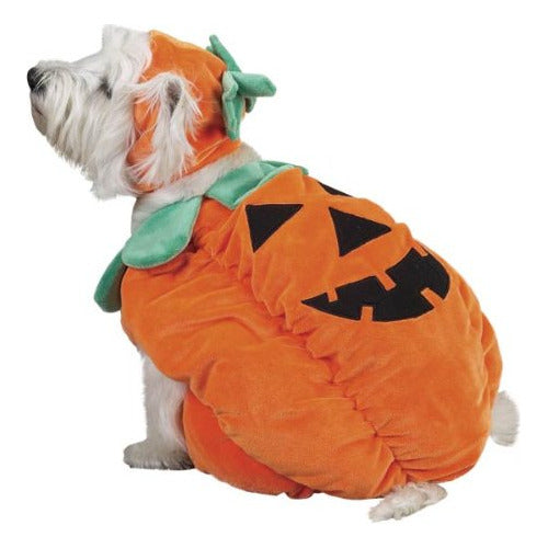 Zack & Zoey Pumpkin Dog Costume XL Orange 2