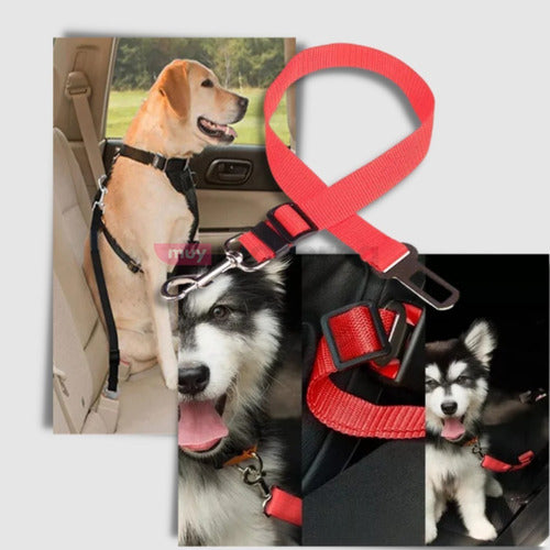 Muymo® Adjustable Dog Seat Belt 1