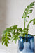 Binah Deco 7 Branches of Philodendron 69 cm 3