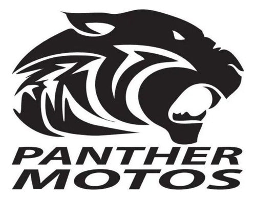 Osaka Stator for Motomel 110 Bit. at Panther Motos 3