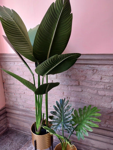 Planta Artificial  Tipo Bananero 80cm (fa208) 3