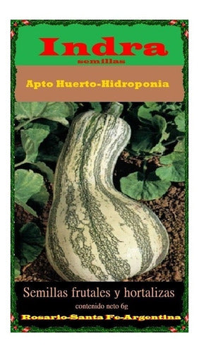 Semillas Calabaza Rayada Apto Huerta/ Hidroponia (100) 1