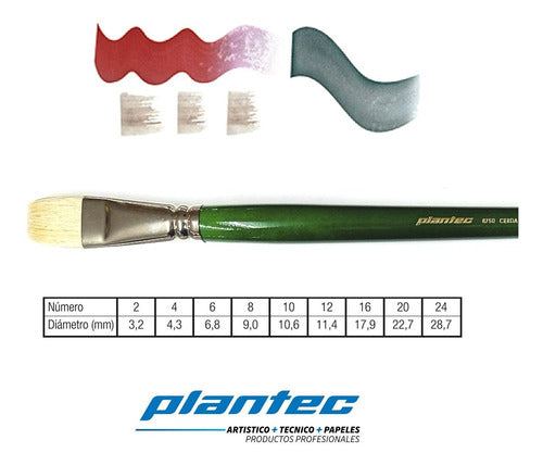 Plantec Flat Brush 8750 White Bristle No. 10 1