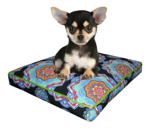 Nuestros Bartulos Printed Canvas Mattress 48x38x5 Cm Dog Bed 0