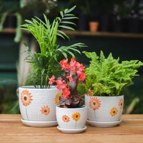 Plantás Paty Macetas De Cerámica, Diseño Girasoles 3