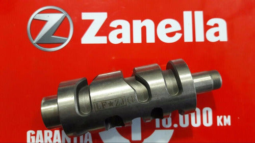 Zanella Patagonian 250 Lineal Gear Selector Drum - Zeta Motos 1