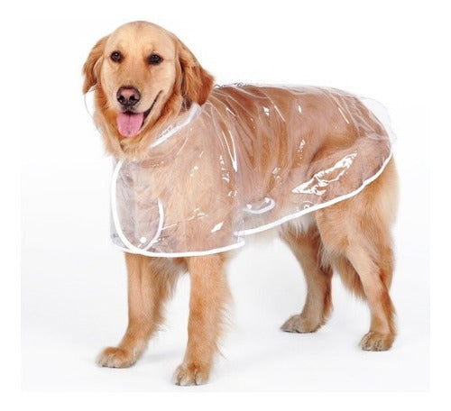 Capa Chuva Transparente Pet Cão Raças Grande 1