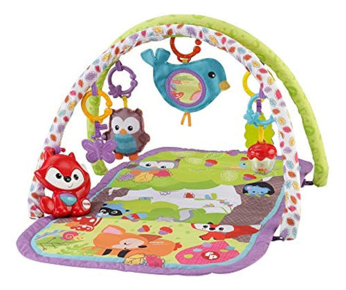 Fisher-Price Musical Activity Gym 3-in-1, Woodland 0