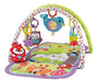 Fisher-Price Musical Activity Gym 3-in-1, Woodland 0