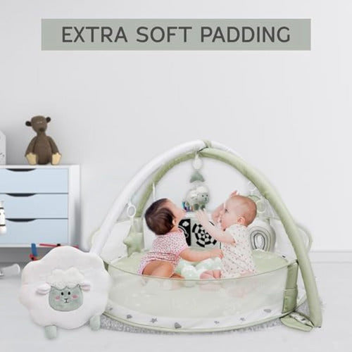 Aila+Aiden XL 6 in 1 Playmat and Play Gym 4