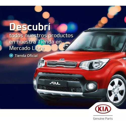 Rejilla De Paragolpes Delantero Kia Picanto Sa 3