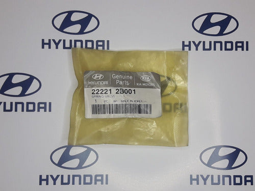 Hyundai/Kia Valve Spring, Original. 22221 2B001 0