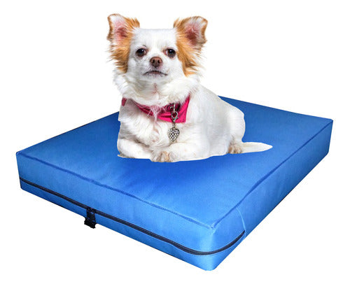 Nuestros Bartulos Dog Bed Mattress Antidesgarro 60x50x10 Cm 6