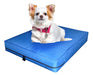 Nuestros Bartulos Dog Bed Mattress Antidesgarro 60x50x10 Cm 6