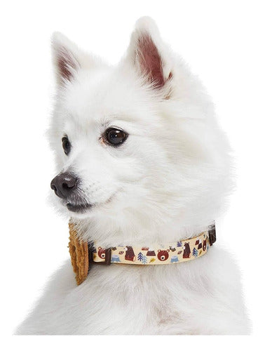 Blueberry Pet Funny Bear Collar Adjustable for Dogs with Detachable Decoration 1