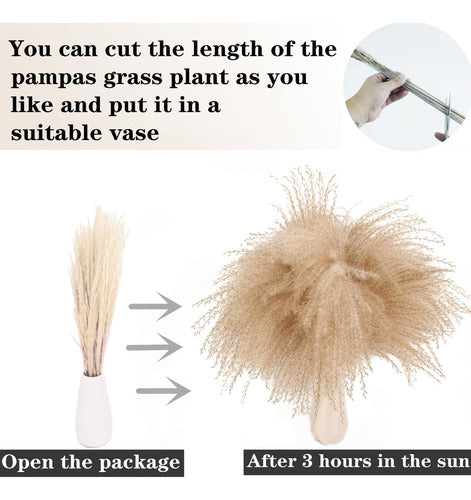 100 Natural Dried Pampas Grass Decor Set 43cm 4