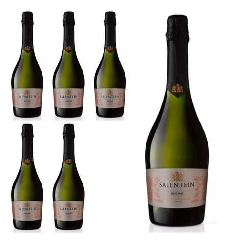 Salentein Brut Rosé Champagne 750cc - Pack of 6 Bottles 0