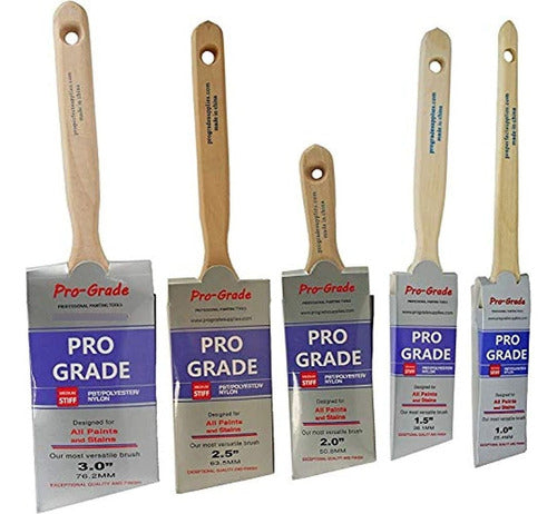 ProGrade Professional Grade - 5 Pack Angular Brushes 0