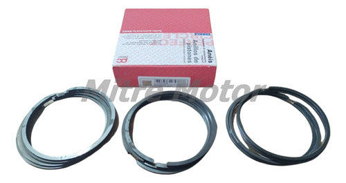 Mahle Aros Peugeot 306 1.9 Diesel Dw8 Semihidraulicos 050 1