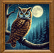 Marmath Digital Designs Night Owl Art Print V4 50x50cm Unique 0