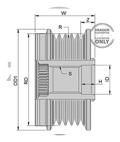 Zen Alternator Pulley Freewheel MWM 2.8 Diesel Motors 1