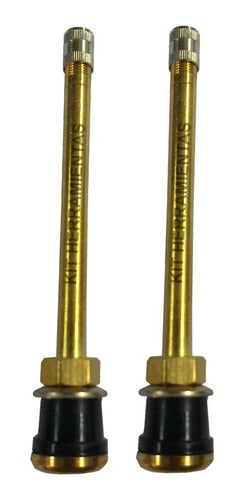 Truck Tubeless Tire Valve TR573 Straight Long x 2 Units 0