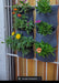 Hierro Vert Balconero + Geotextile Planter 6