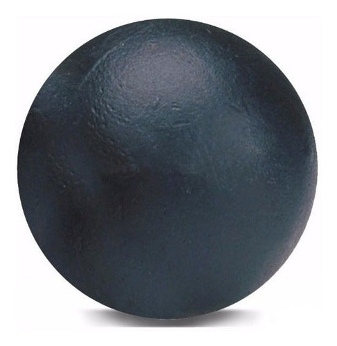 Aba Sport 2kg Iron Painted Shot Put 0