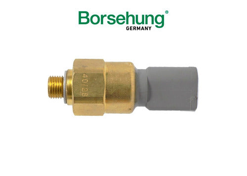 Hydraulic Pressure Bulb Bora Golf Audi A3 Original German 1