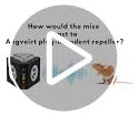 Angveirt Ultrasonic Mouse Repellent Plug-In 6