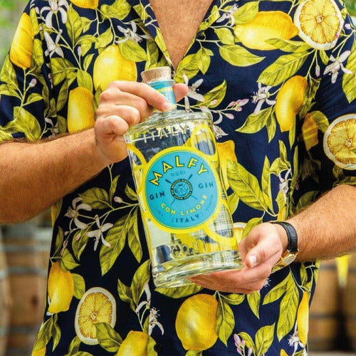 Malfy Gin Con Limone Italy Distilled Lemon Flavor 3