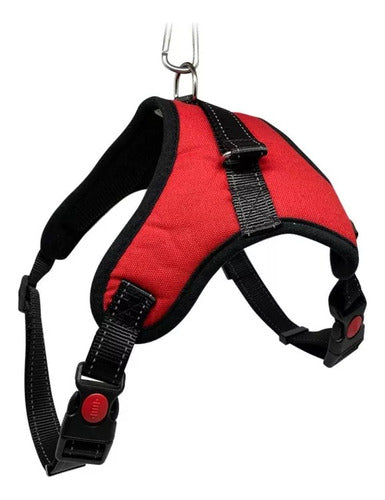 World Tech Red Dog Harness 31x22cm 0