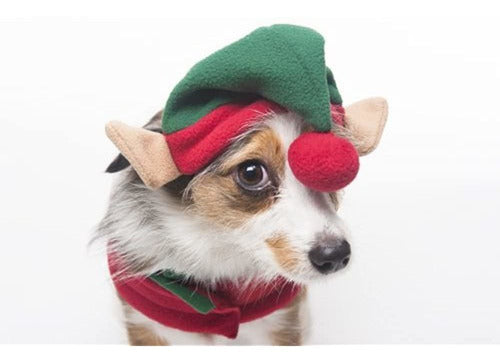 Fashion Pet Elf Hat for Small to Medium Dogs 1