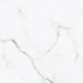 Vite Bianco Apuano Polished Porcelain 80x80 0