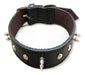 Leather Mastiff Collar with Spikes No. 2 0