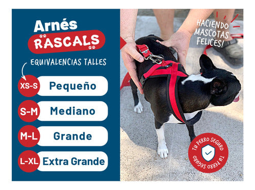 Padded Premium Large Dog Harness Rascals 32