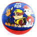 Disney Paw Patrol Original and Official Basketball Size 3 3