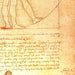 Beautiful Vitruvian Man Poster - Da Vinci - 120x85 New 6