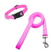 Nylon Collar and Leash Set for Dogs and Cats Various Sizes 40