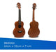 LARKYUQI Concert Ukulele - Wood Colors + Case 3